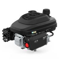 Двигатель бензиновый EVOline XP 200 купить в Москве с доставкой по всей России | ProtosMarket.ru