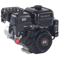 Двигатель бензиновый EVOline GB 420 Е купить в Москве с доставкой по всей России | ProtosMarket.ru