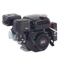 Двигатель бензиновый EVOline 168 FBE купить в Москве с доставкой по всей России | ProtosMarket.ru
