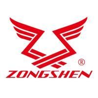 Двигатель бензиновый Zongshen GB 750 B EFI (D=25,4 мм L=77 мм) купить в Москве с доставкой по всей России | ProtosMarket.ru