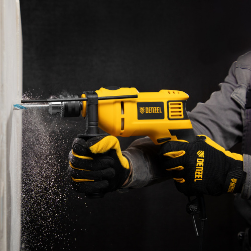 Дрель ударная ID-750, 750 Вт, 0-3000 об/мин, 48000 уд/мин Denzel купить в Москве с доставкой по всей России | ProtosMarket.ru