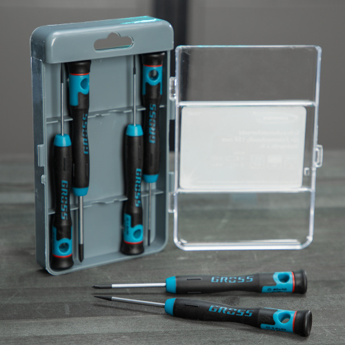 Набор отверток для точной механики, CrMo, двухкомпонентные рукоятки, 6 шт, пластиковый бокс Gross купить в Москве с доставкой по всей России | ProtosMarket.ru