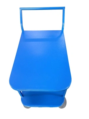 Тележка платформенная TOR ТП-2Я (600х900) 2х-ярусная (160мм) по ценам производителя в Санкт-Петербурге с доставкой по всей России