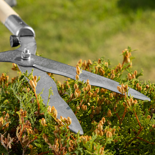 Кусторез, 650 мм, волнистые лезвия, деревянные рукоятки, Горизонт, купить в Москве с доставкой по всей России | ProtosMarket.ru