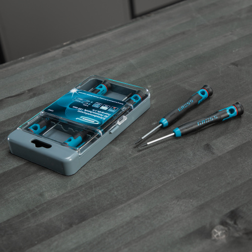 Набор отверток для точной механики, CrMo, двухкомпонентные рукоятки, 6 шт, пластиковый бокс Gross купить в Москве с доставкой по всей России | ProtosMarket.ru