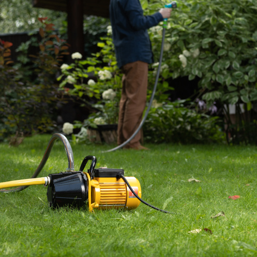 Садовый поверхностный насос GP1100C, 1100 Вт, 4500 л/ч, подъем 46 м, чугун Denzel по ценам производителя в Санкт-Петербурге с доставкой по всей России