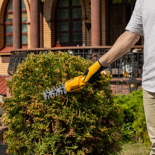 Ножницы-кусторез аккумуляторные G411 с акк. 3.6В Li-Ion 1.5 Ач Denzel купить в Москве с доставкой по всей России | ProtosMarket.ru