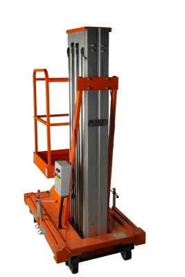 Подъемник мачтовый сетевой 125 кг 9/11 м TOR GTWY9-100 AC 220В 1-мачтовый купить в Москве с доставкой по всей России | ProtosMarket.ru