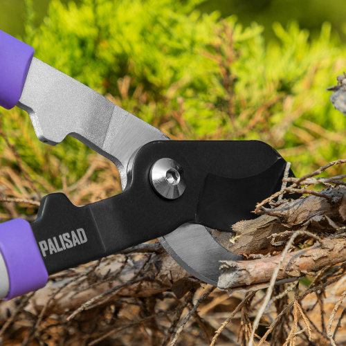 Сучкорез с наковальней, 540 -705 мм, телескопические стальные обрезиненные рукоятки, Palisad купить в Москве с доставкой по всей России | ProtosMarket.ru