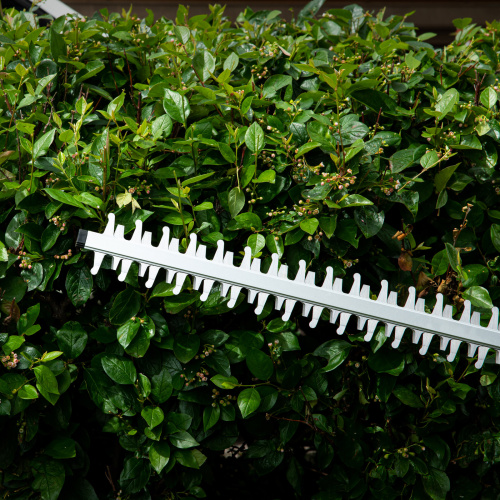 Кусторез аккумуляторный RBC510-36, Li-ion, 36 В, 4 Ач, нож 510 мм, поворотная ручка Denzel купить в Москве с доставкой по всей России | ProtosMarket.ru