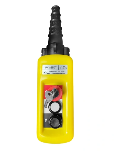 Пульт управления 2 кнопки, 2 скорости, стоп, ключ, IP65 A2913Y по ценам производителя в Санкт-Петербурге с доставкой по всей России