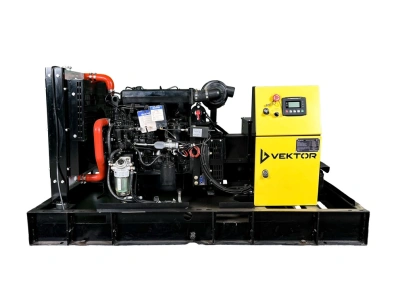 Дизельный генератор Vektor AD-20Y-T400 купить в Москве с доставкой по всей России | ProtosMarket.ru
