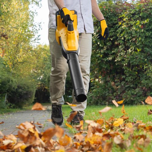 Воздуходувка аккумуляторная RB180-36, Li-ion, 36 В, 4 Ач, 180 км/ч, 820 м3/ч Denzel купить в Москве с доставкой по всей России | ProtosMarket.ru