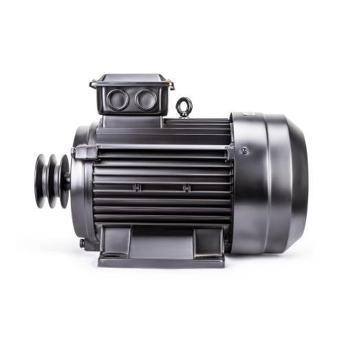 Электродвигатель в сборе AEROMAX EM-550 (400В / 4кВт) купить в Москве с доставкой по всей России | ProtosMarket.ru