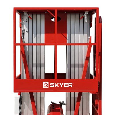 Двухмачтовый подъемник SKYER GTWY10-200 AC/DC купить в Москве с доставкой по всей России | ProtosMarket.ru