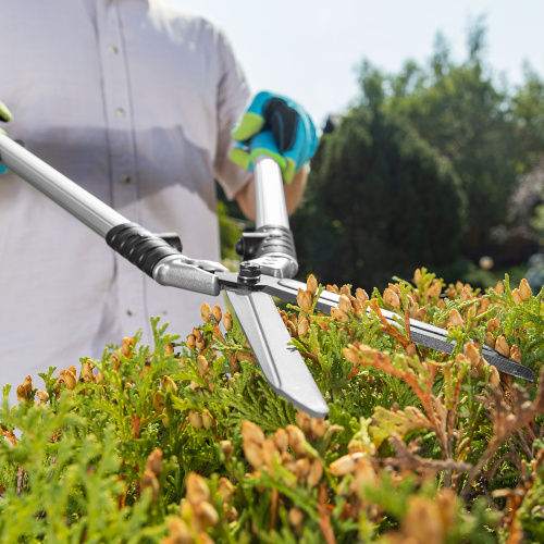 Кусторез, 600 мм, кованый, алюминиевые обрезиненные рукоятки, Forged LUXE Palisad по ценам производителя в Санкт-Петербурге с доставкой по всей России