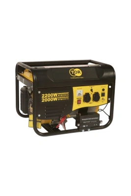Генератор бензиновый 2,0 кВт 220В 15л с электростартером TOR TR2500E купить в Москве с доставкой по всей России | ProtosMarket.ru