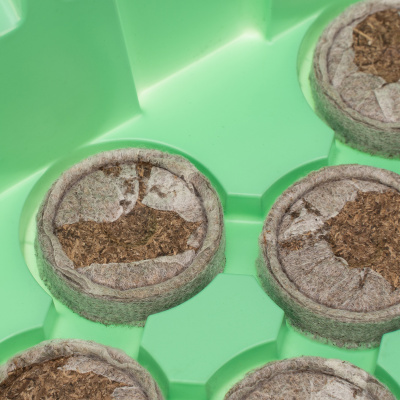 Мини-парник с крышкой, с торфяными таблетками, 240х125х50 мм, 11 ячеек, полистирол купить в Москве с доставкой по всей России | ProtosMarket.ru