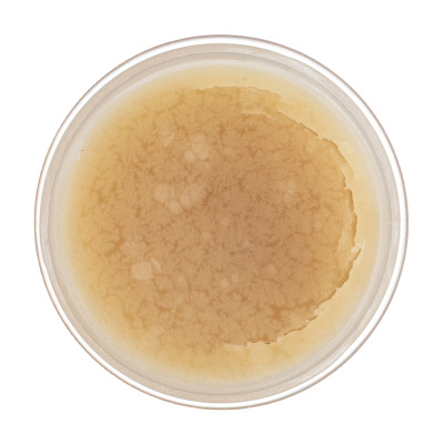 Жир паяльный нейтральный, 20 г Сибртех купить в Москве с доставкой по всей России | ProtosMarket.ru