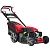 Газонокосилка бензиновая EVOline LMG 53 CVE купить в Москве с доставкой по всей России | ProtosMarket.ru