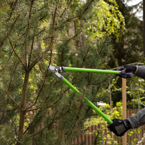 Сучкорез прямого реза, 700 мм, стальные обрезиненные рукоятки, Palisad купить в Москве с доставкой по всей России | ProtosMarket.ru