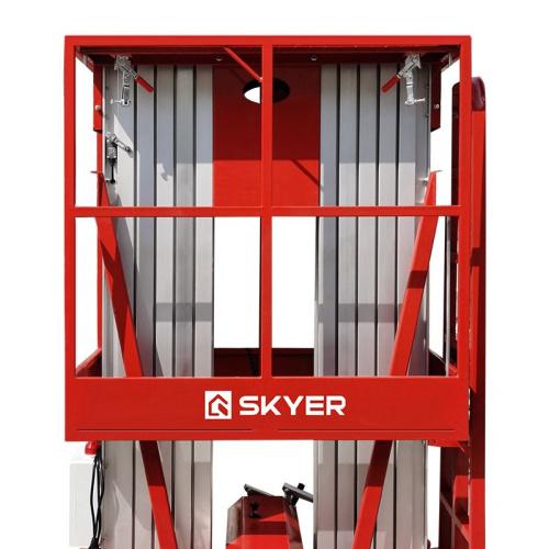 Двухмачтовый подъемник SKYER GTWY10-200 по ценам производителя в Санкт-Петербурге с доставкой по всей России