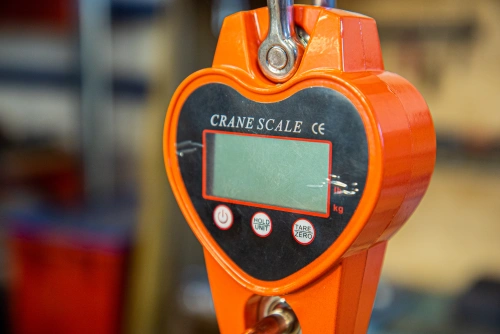 Весы электронные крановые TOR OCS-L 500кг по ценам производителя в Санкт-Петербурге с доставкой по всей России