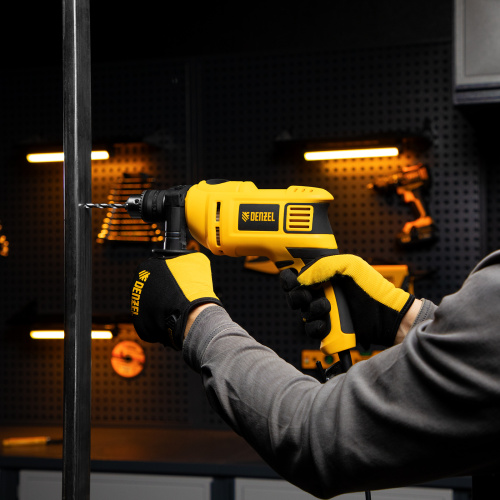 Дрель ударная ID-750, 750 Вт, 0-3000 об/мин, 48000 уд/мин Denzel купить в Москве с доставкой по всей России | ProtosMarket.ru