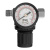 Регулятор давления с манометром R1500, 12 бар, 1/4" Denzel купить в Москве с доставкой по всей России | ProtosMarket.ru